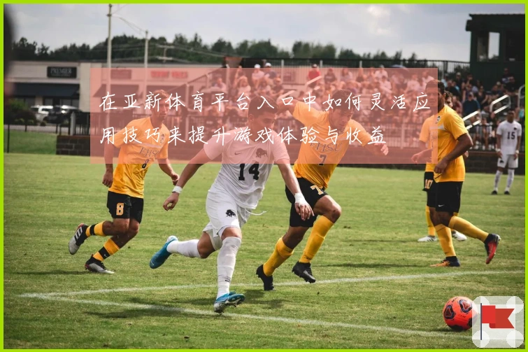 在亚新体育平台入口中如何灵活应用技巧来提升游戏体验与收益