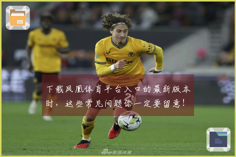 下载凤凰体育平台入口的最新版本时，这些常见问题你一定要留意！