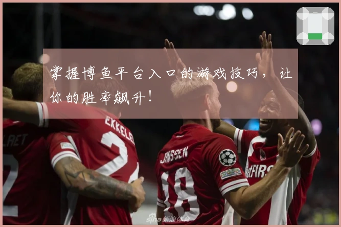 掌握博鱼平台入口的游戏技巧，让你的胜率飙升！