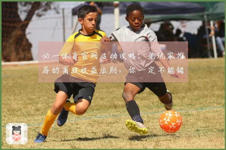 必一体育官网活动攻略：老玩家推荐的高效收益法则，你一定不能错过！