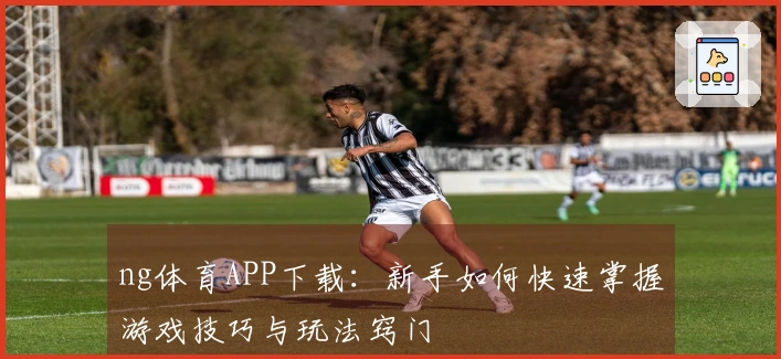 ng体育APP下载：新手如何快速掌握游戏技巧与玩法窍门